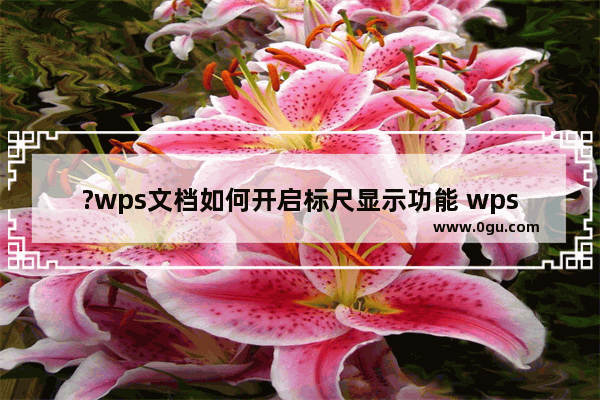 ?wps文档如何开启标尺显示功能 wps文档标尺消失不见的解决方法