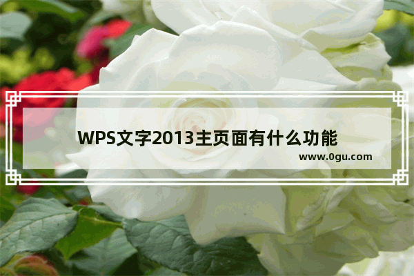 WPS文字2013主页面有什么功能