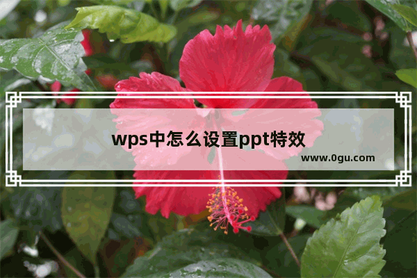 wps中怎么设置ppt特效