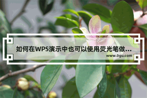 如何在WPS演示中也可以使用荧光笔做标签或词句