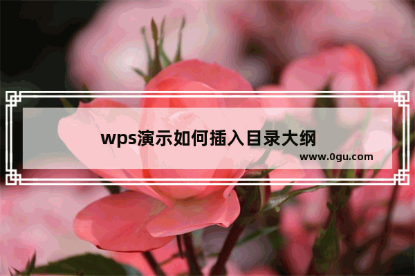 wps演示如何插入目录大纲