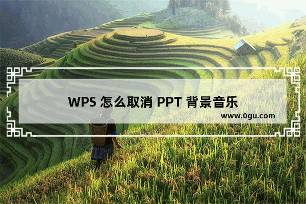 WPS 怎么取消 PPT 背景音乐