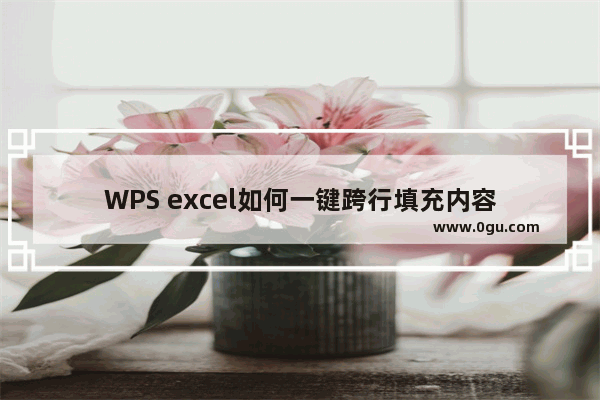 WPS excel如何一键跨行填充内容