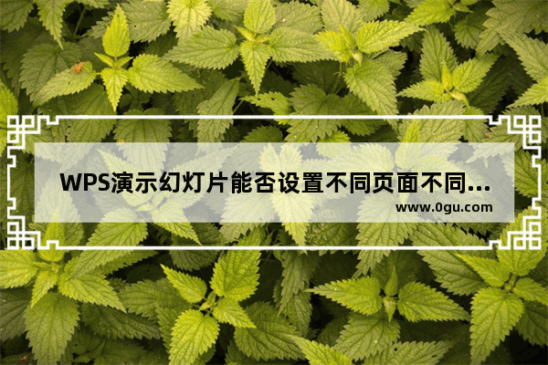 WPS演示幻灯片能否设置不同页面不同尺寸？