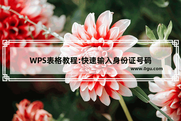 WPS表格教程:快速输入身份证号码