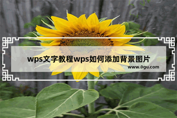 wps文字教程wps如何添加背景图片