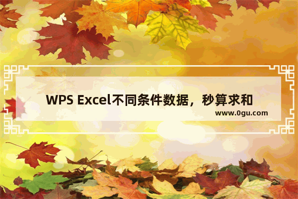 WPS Excel不同条件数据，秒算求和