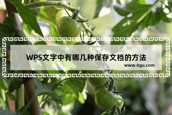 WPS文字中有哪几种保存文档的方法