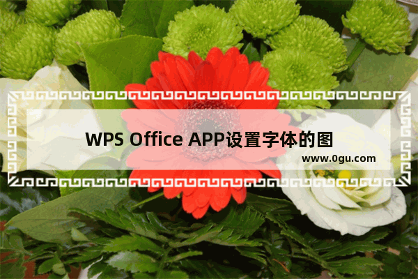 WPS Office APP设置字体的图文教程