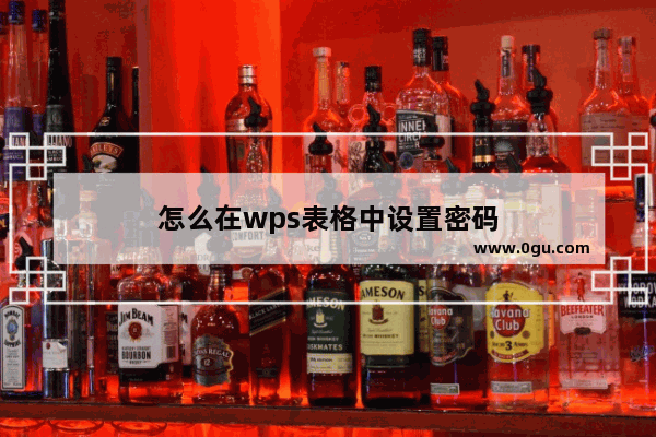 怎么在wps表格中设置密码