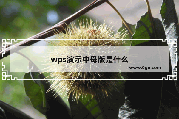 wps演示中母版是什么