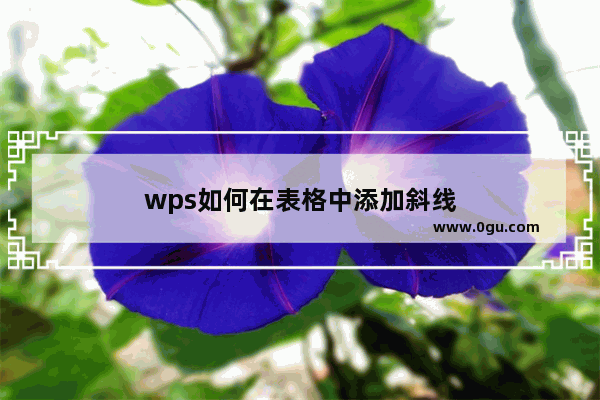 wps如何在表格中添加斜线