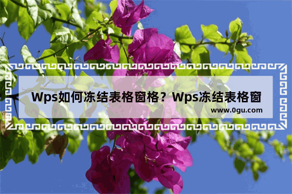 Wps如何冻结表格窗格？Wps冻结表格窗格的方法