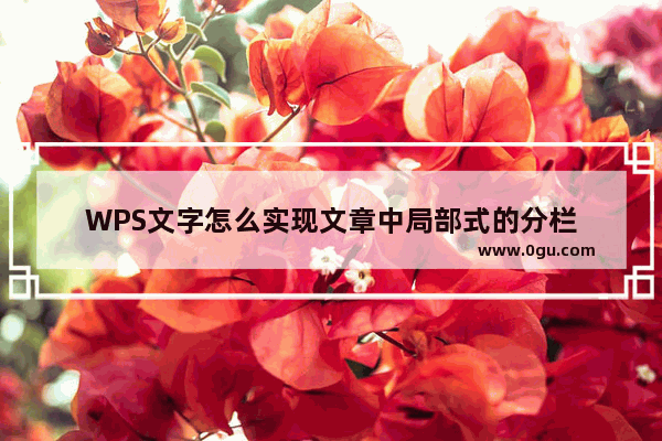 WPS文字怎么实现文章中局部式的分栏