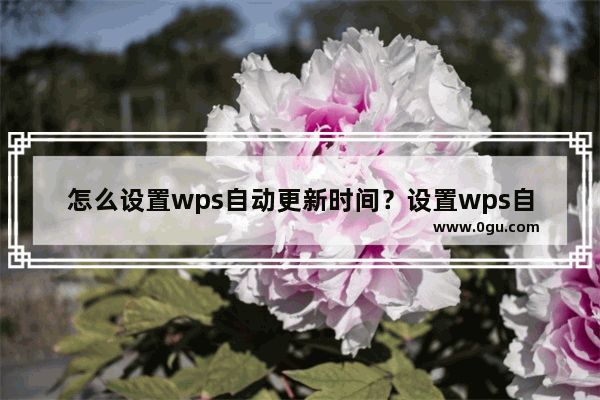 怎么设置wps自动更新时间？设置wps自动更新时间的方法教程