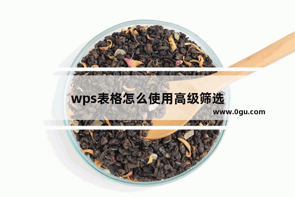 wps表格怎么使用高级筛选