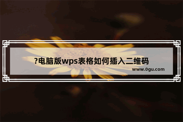 ?电脑版wps表格如何插入二维码