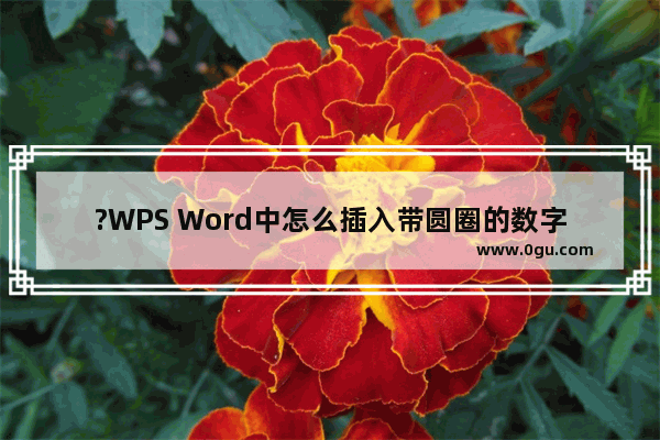 ?WPS Word中怎么插入带圆圈的数字 WPS文档给数字添加带圈格式的方法教程