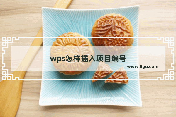 wps怎样插入项目编号