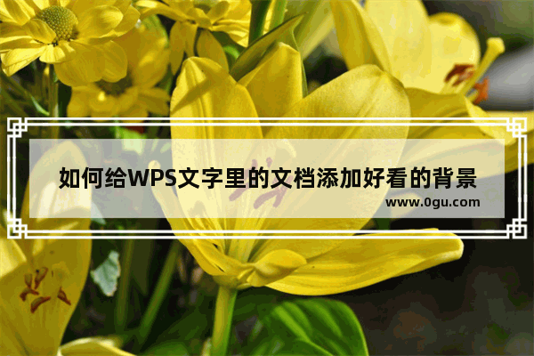 如何给WPS文字里的文档添加好看的背景