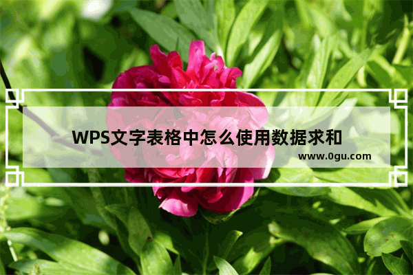 WPS文字表格中怎么使用数据求和