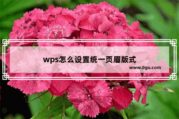 wps怎么设置统一页眉版式