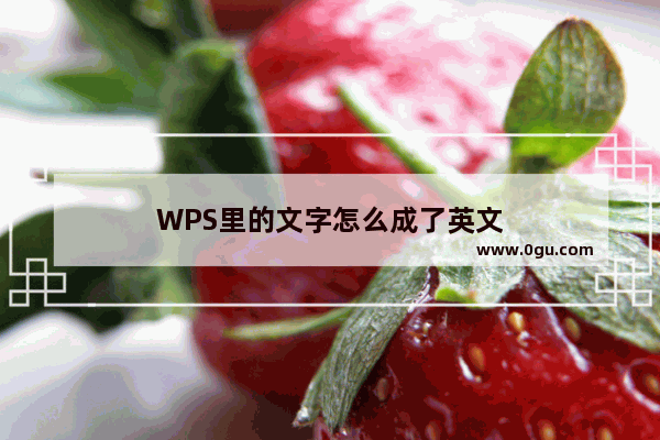 WPS里的文字怎么成了英文