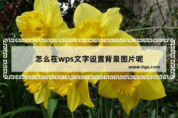 怎么在wps文字设置背景图片呢