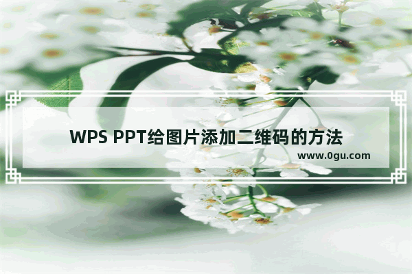 WPS PPT给图片添加二维码的方法