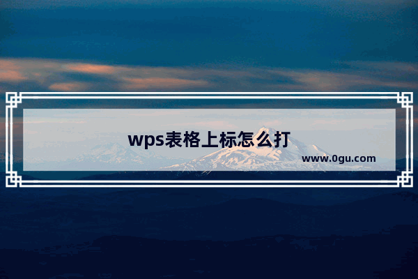 wps表格上标怎么打