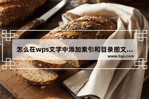 怎么在wps文字中添加索引和目录图文教程