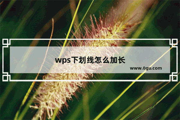 wps下划线怎么加长