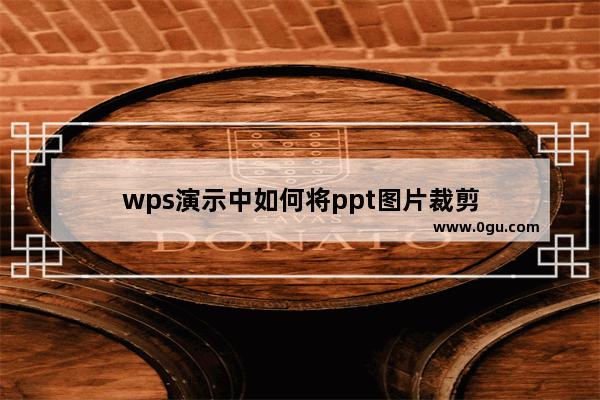 wps演示中如何将ppt图片裁剪