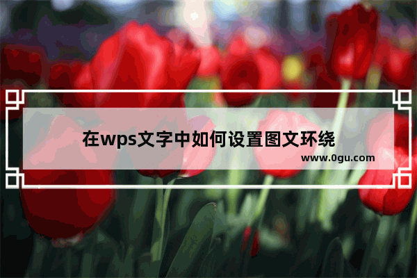 在wps文字中如何设置图文环绕