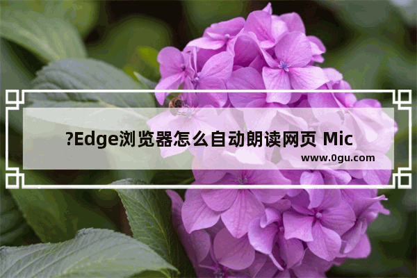 ?Edge浏览器怎么自动朗读网页 Microsoft edge浏览器中使用大声朗读功能的方法教程