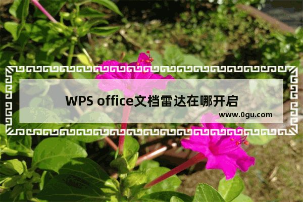 WPS office文档雷达在哪开启