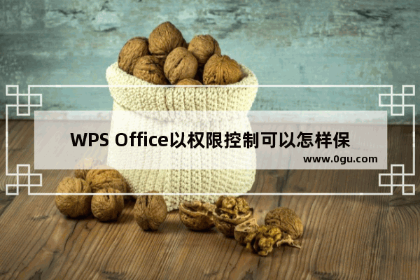 WPS Office以权限控制可以怎样保护文档安全？