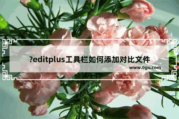 ?editplus工具栏如何添加对比文件差异 ?editplus自定义工具栏的方法