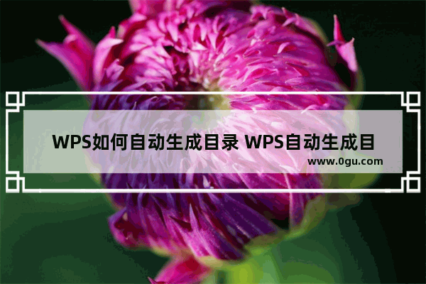 WPS如何自动生成目录 WPS自动生成目录的操作方法