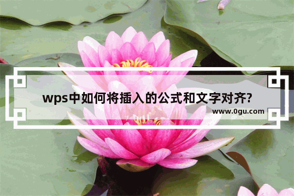 wps中如何将插入的公式和文字对齐?