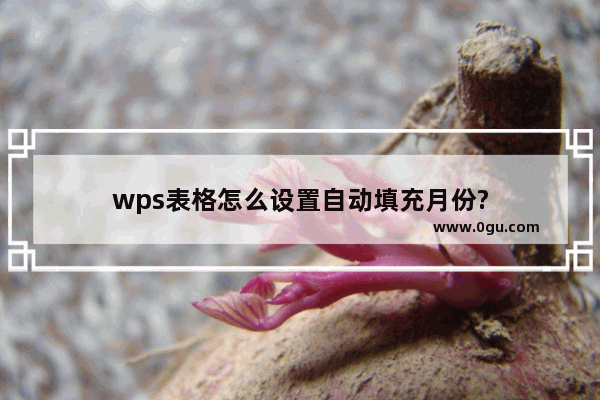 wps表格怎么设置自动填充月份?