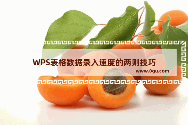 WPS表格数据录入速度的两则技巧