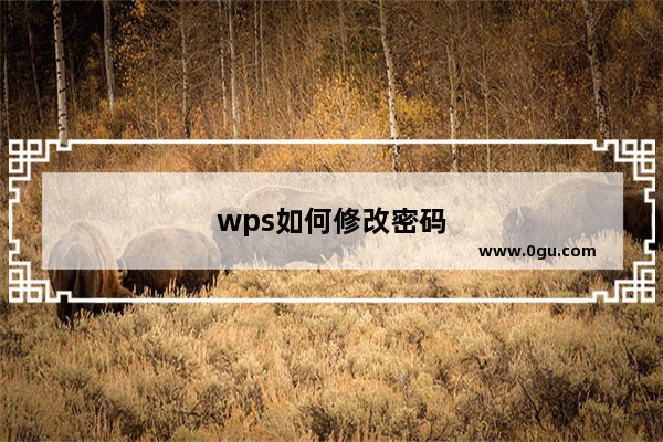 wps如何修改密码