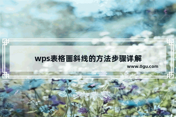 wps表格画斜线的方法步骤详解