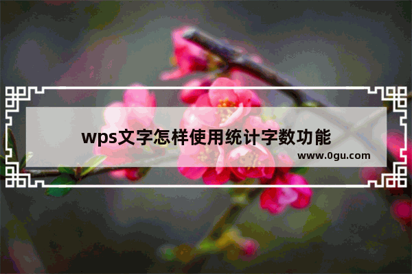 wps文字怎样使用统计字数功能