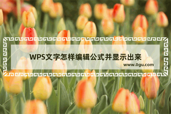 WPS文字怎样编辑公式并显示出来