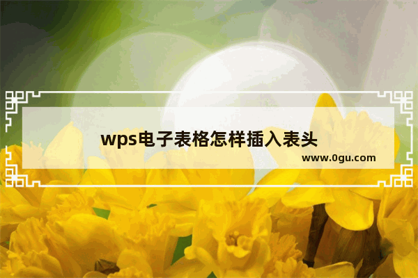 wps电子表格怎样插入表头