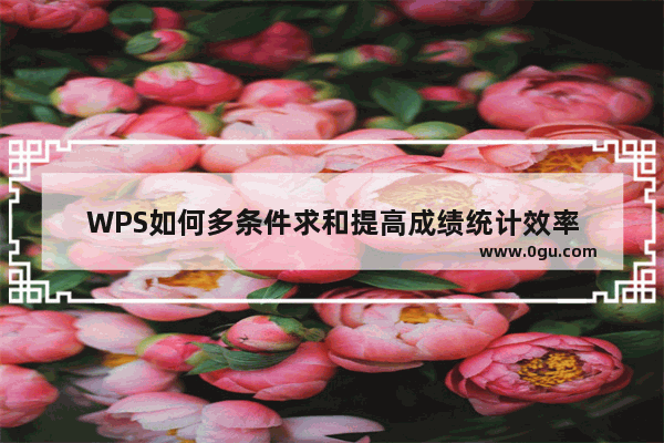 WPS如何多条件求和提高成绩统计效率