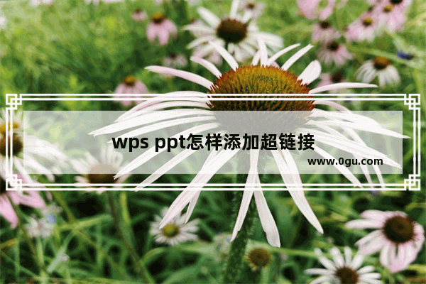 wps ppt怎样添加超链接