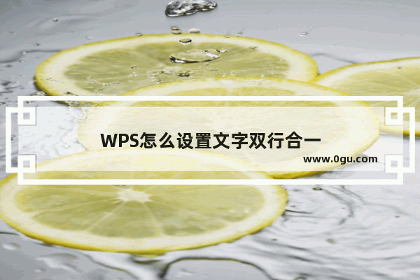 WPS怎么设置文字双行合一